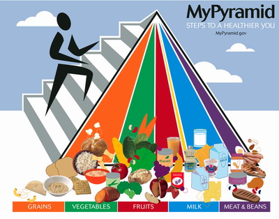 food groups pyramid for kids. Obama says that the food plate